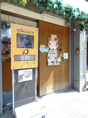 ねこJaLaLa